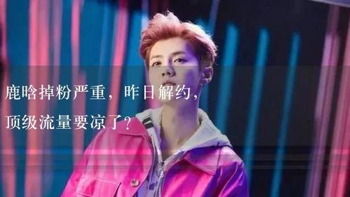 解说吃瓜娱乐,吃瓜群众的欢乐盛宴