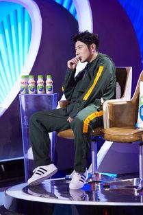 吃瓜娱乐圈八卦王凯,娱乐圈吃瓜王，揭秘明星幕后故事