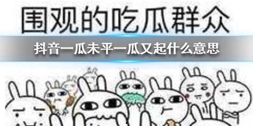 娱乐吃瓜抖音,娱乐热点一网打尽