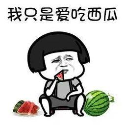 娱乐吃瓜仔,吃瓜仔带你探秘明星幕后故事